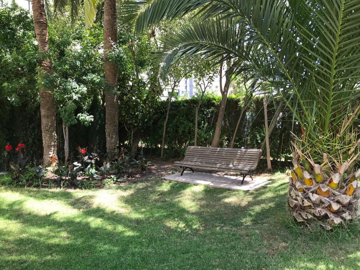 Apartamento Coffee Beach En Parque Europa Benidorm Exterior foto